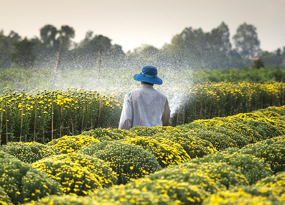 Transporte de Plantas y suministros agrícolas